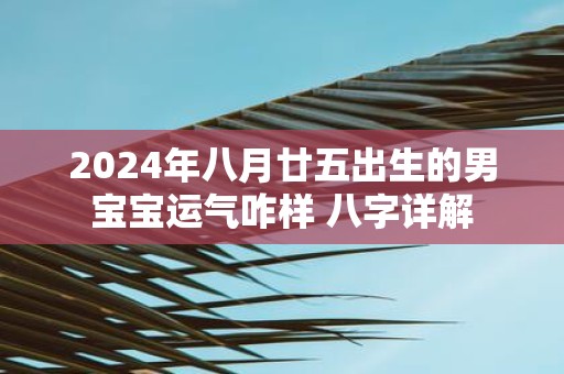 2025年八月廿五出生的男宝宝运气咋样 八字详解