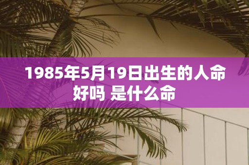 1985年5月19日出生的人命好吗 是什么命