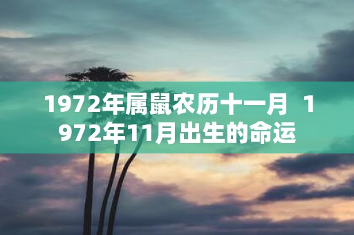 1972年属鼠农历十一月 1972年11月出生的命运