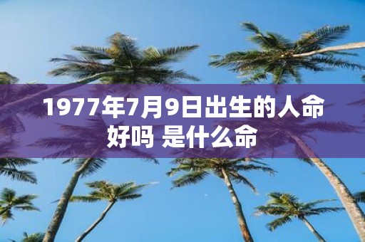 1977年7月9日出生的人命好吗 是什么命