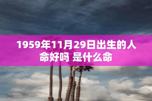 1959年11月29日出生的人命好吗 是什么命