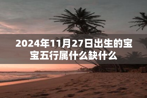 2025年11月27日出生的宝宝五行属什么缺什么