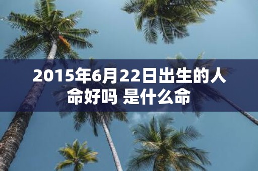 2015年6月22日出生的人命好吗 是什么命