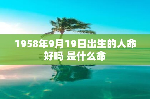 1958年9月19日出生的人命好吗 是什么命