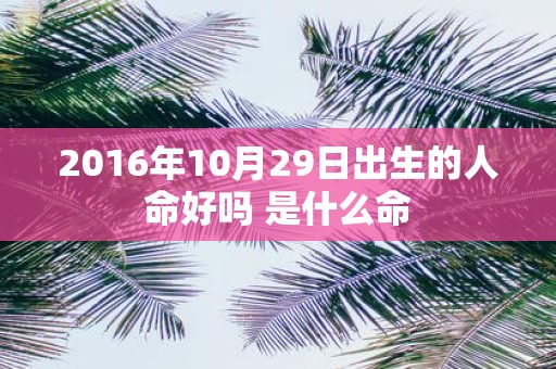 2016年10月29日出生的人命好吗 是什么命