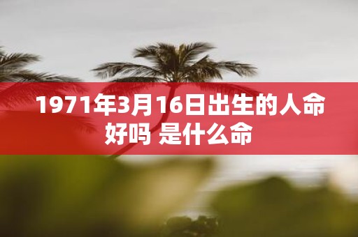 1971年3月16日出生的人命好吗 是什么命