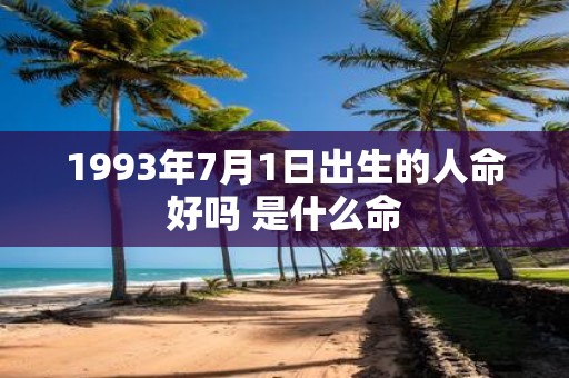 1993年7月1日出生的人命好吗 是什么命