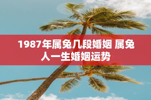 1987年属兔几段婚姻 属兔人一生婚姻运势