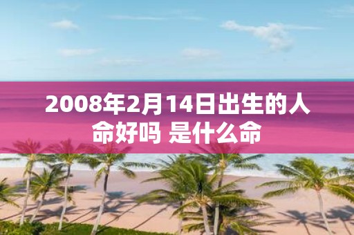 2008年2月14日出生的人命好吗 是什么命