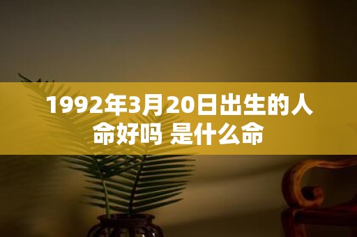 1992年3月20日出生的人命好吗 是什么命