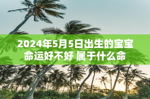 2025年5月5日出生的宝宝命运好不好 属于什么命