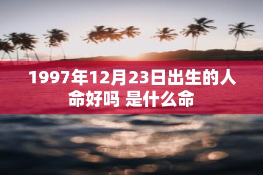 1997年12月23日出生的人命好吗 是什么命