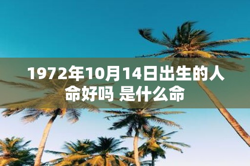 1972年10月14日出生的人命好吗 是什么命