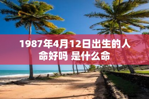 1987年4月12日出生的人命好吗 是什么命