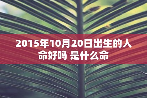 2015年10月20日出生的人命好吗 是什么命