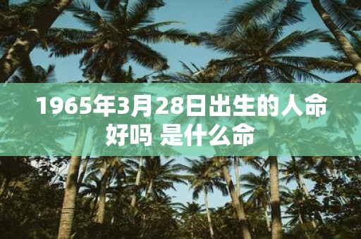 1965年3月28日出生的人命好吗 是什么命