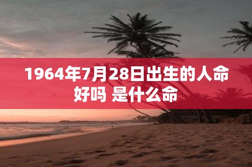 1964年7月28日出生的人命好吗 是什么命