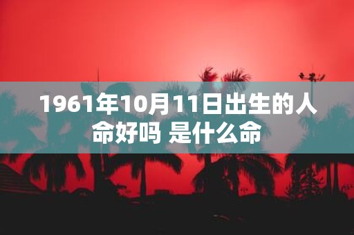 1961年10月11日出生的人命好吗 是什么命