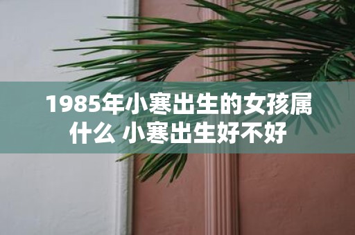 1985年小寒出生的女孩属什么 小寒出生好不好