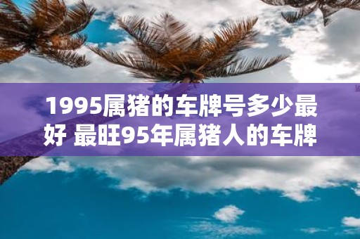 1995属猪的车牌号多少最好 最旺95年属猪人的车牌号