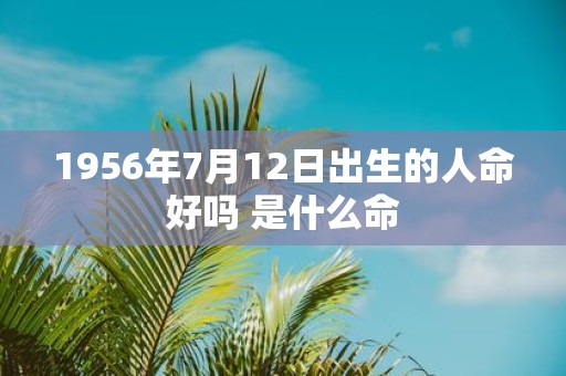 1956年7月12日出生的人命好吗 是什么命