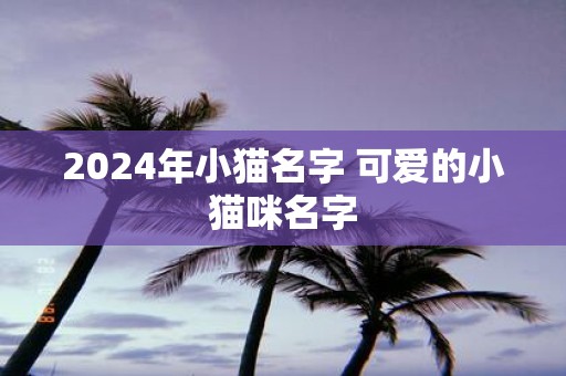 2025年小猫名字 可爱的小猫咪名字