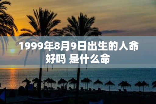 1999年8月9日出生的人命好吗 是什么命