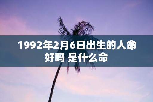1992年2月6日出生的人命好吗 是什么命