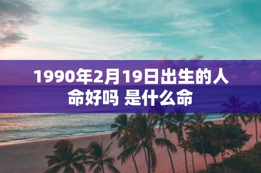1990年2月19日出生的人命好吗 是什么命