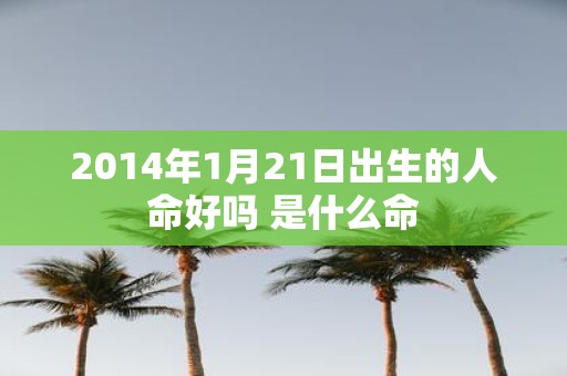2014年1月21日出生的人命好吗 是什么命