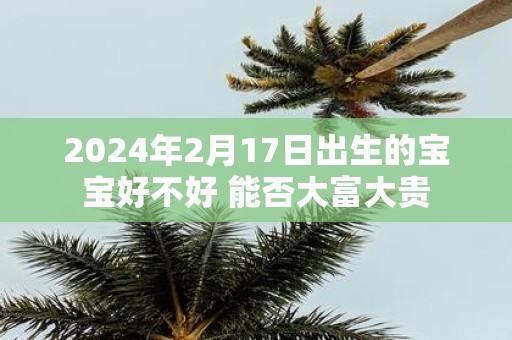 2025年2月17日出生的宝宝好不好 能否大富大贵