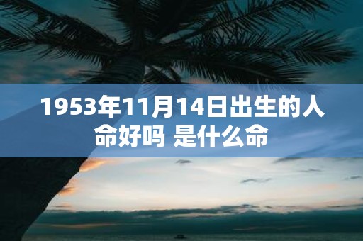 1953年11月14日出生的人命好吗 是什么命