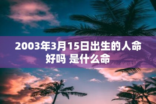 2003年3月15日出生的人命好吗 是什么命