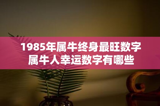 1985年属牛终身最旺数字 属牛人幸运数字有哪些