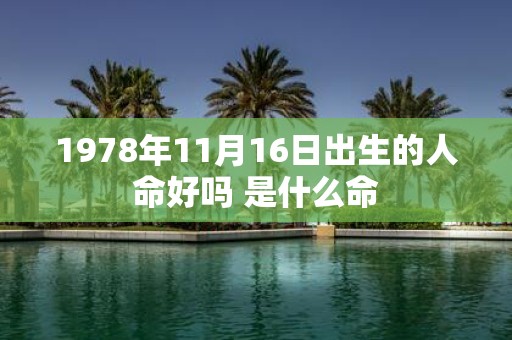 1978年11月16日出生的人命好吗 是什么命