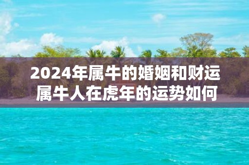 2025年属牛的婚姻和财运 属牛人在虎年的运势如何