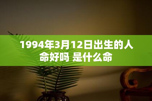 1994年3月12日出生的人命好吗 是什么命