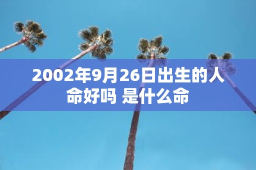 2002年9月26日出生的人命好吗 是什么命