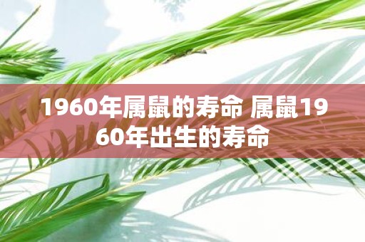 1960年属鼠的寿命 属鼠1960年出生的寿命