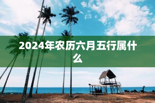 2025年农历六月五行属什么