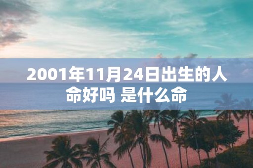2001年11月24日出生的人命好吗 是什么命