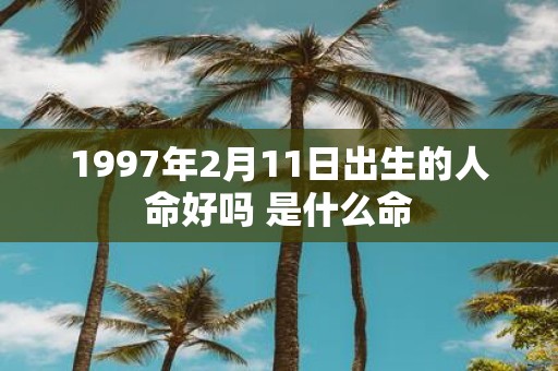 1997年2月11日出生的人命好吗 是什么命