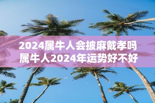 2025属牛人会披麻戴孝吗 属牛人2025年运势好不好