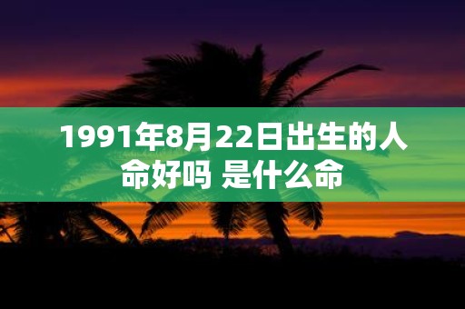 1991年8月22日出生的人命好吗 是什么命