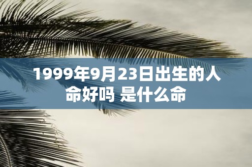1999年9月23日出生的人命好吗 是什么命