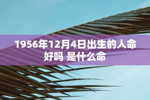 1956年12月4日出生的人命好吗 是什么命