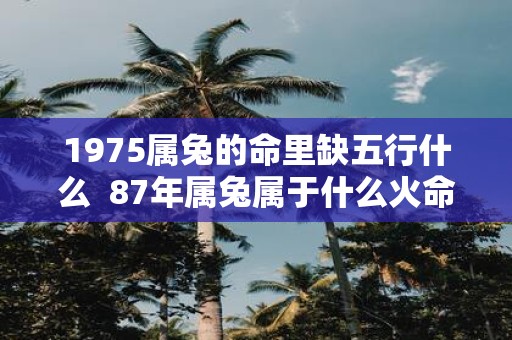 1975属兔的命里缺五行什么 87年属兔属于什么火命