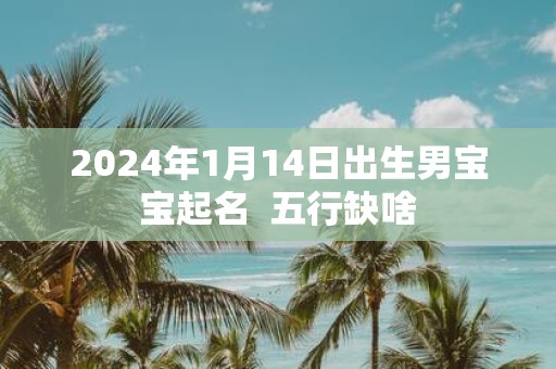 2025年1月14日出生男宝宝起名 五行缺啥