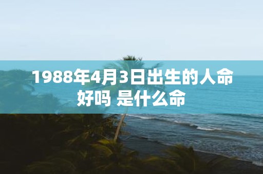 1988年4月3日出生的人命好吗 是什么命