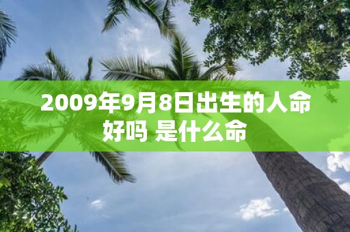 2009年9月8日出生的人命好吗 是什么命